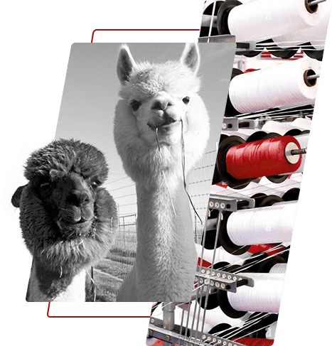 染色ポリエステル糸